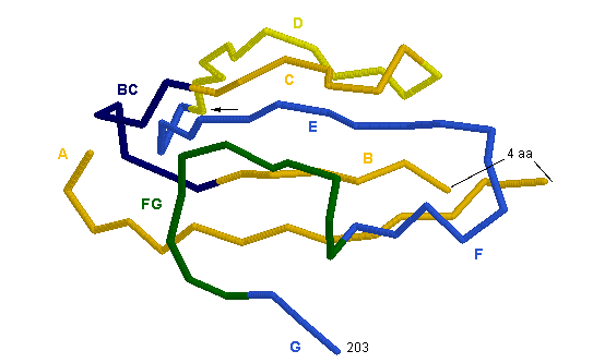 C-DOMAIN TRA