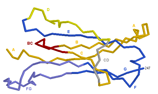 C-DOMAIN TRB1