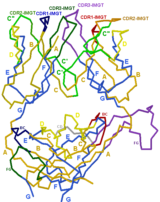 V-C-DOMAIN TRAB