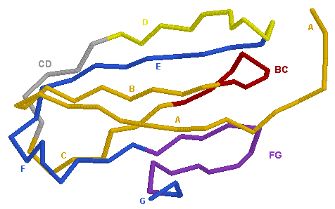 C-DOMAIN A