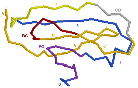 C-DOMAIN A1