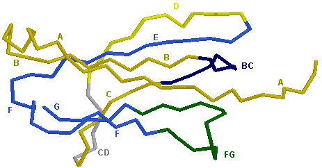 C-DOMAIN B