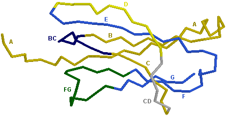 C-DOMAIN B1