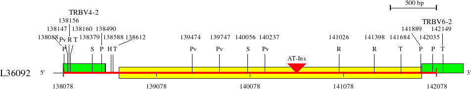 L36092_138078_142330