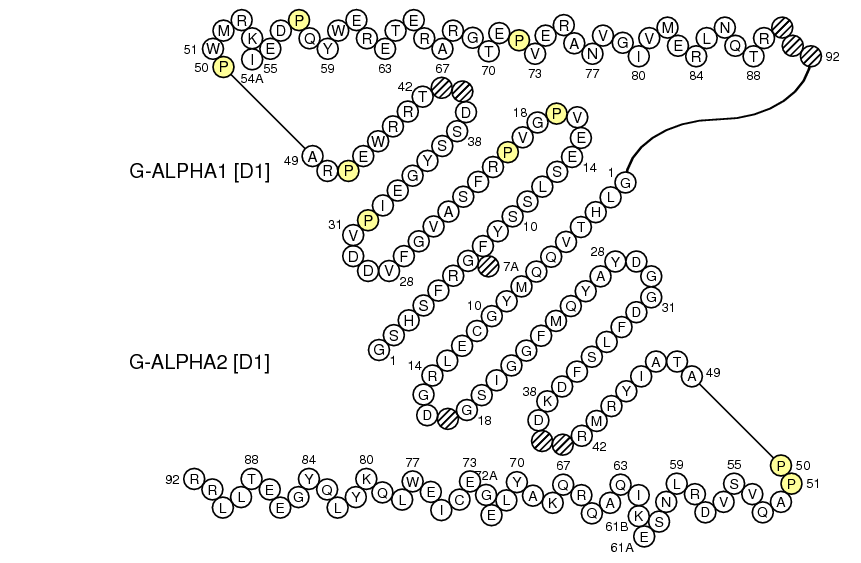 Collier Ax_AMME-IA G-DOMAIN