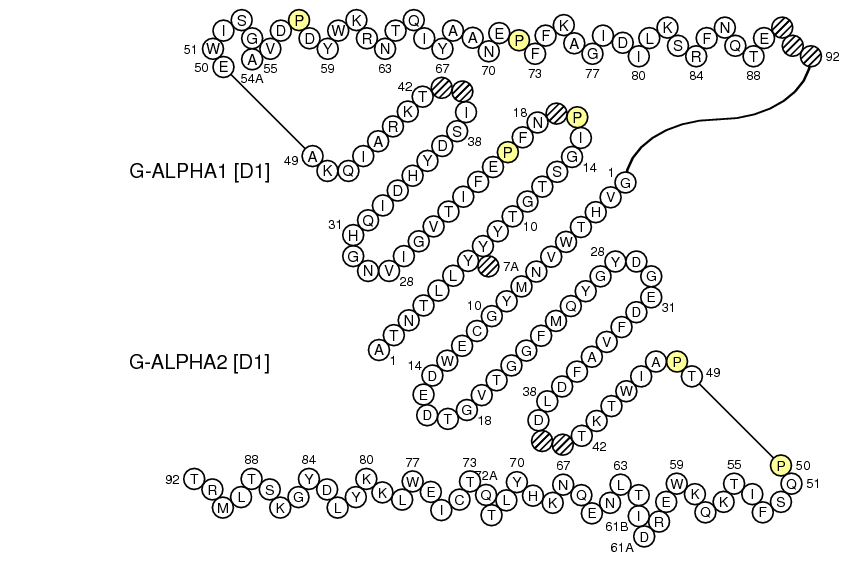 Collier SATR-UB G-DOMAIN