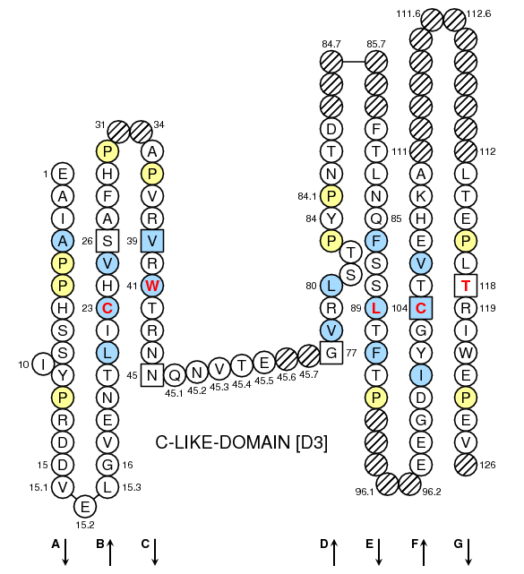 Collier Oncmyk-DAA C-LIKE-DOMAIN