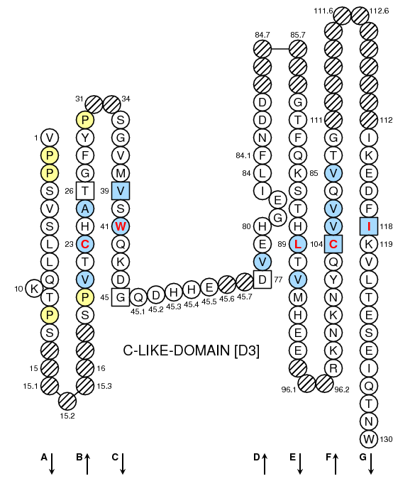 Collier Oncmyk-UCA C-LIKE-DOMAIN