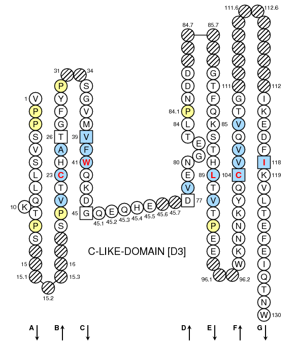 Collier Oncmyk-UGA C-LIKE-DOMAIN