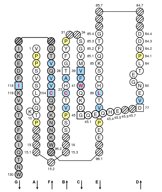 Collier Oncmyk-UGA C-LIKE-DOMAIN