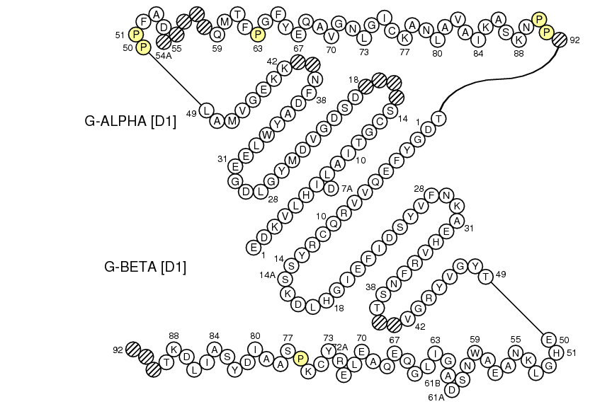 Collier Oncmyk-DAA-DAB G-DOMAIN