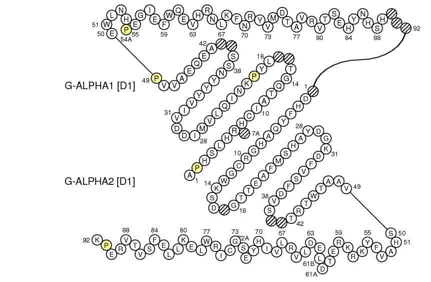 Collier Oncmyk-UAA G-DOMAIN