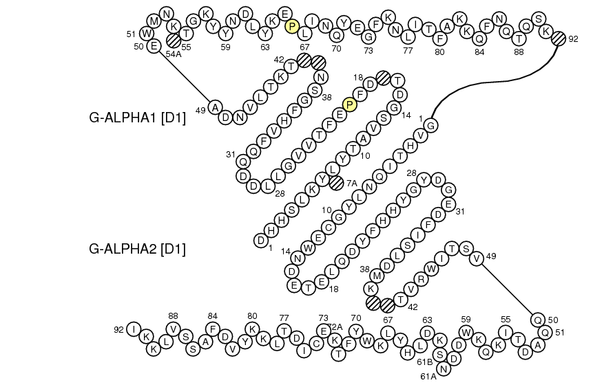 Collier Oncmyk-UEA G-DOMAIN