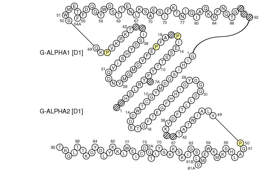 Collier Oncmyk-UGA G-DOMAIN