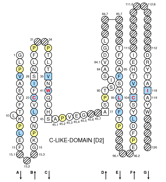 Collier H2-DMA C-LIKE-DOMAIN