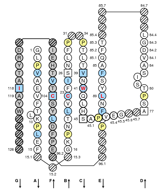 Collier H2-DMA C-LIKE-DOMAIN