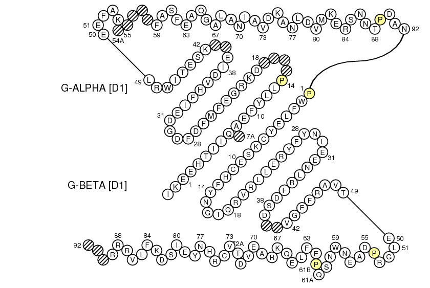 Collier H2-EA-EB G-DOMAIN