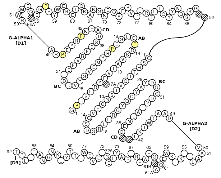 Collier H2-K G-DOMAIN