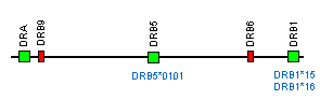 DR51