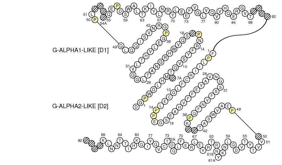 Collier EPCR G-LIKE-DOMAIN