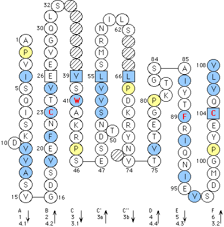 Collier Amalgam V-LIKE-DOMAIN