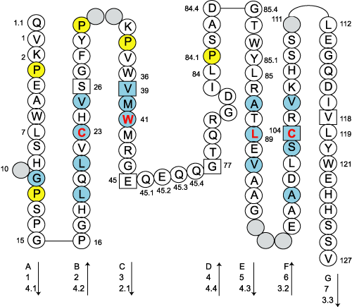 Collier CD1-old C-LIKE-DOMAIN