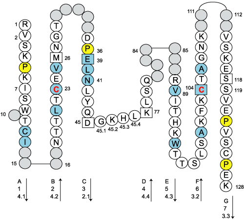 Collier CD2-old C-LIKE-DOMAIN