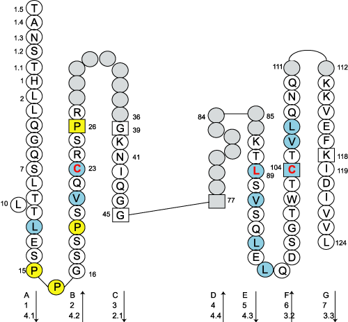 Collier CD4.2-old C-LIKE-DOMAIN