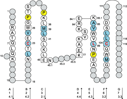 Collier CD4.4-old C-LIKE-DOMAIN