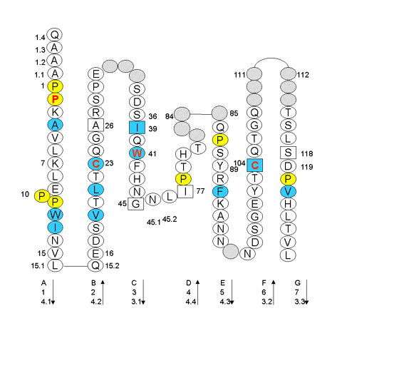 Collier FCGR2A.1 C-LIKE-DOMAIN