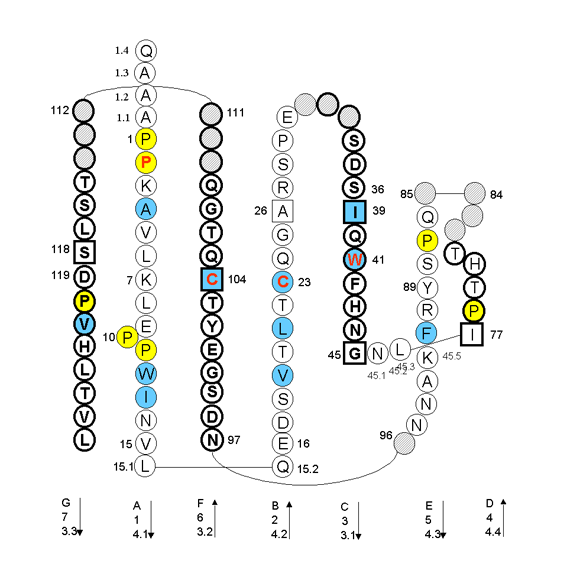 Collier FCGR2A.1 C-LIKE-DOMAIN