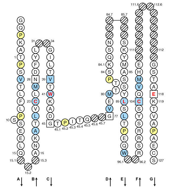 Collier IGLL3 C-LIKE-DOMAIN