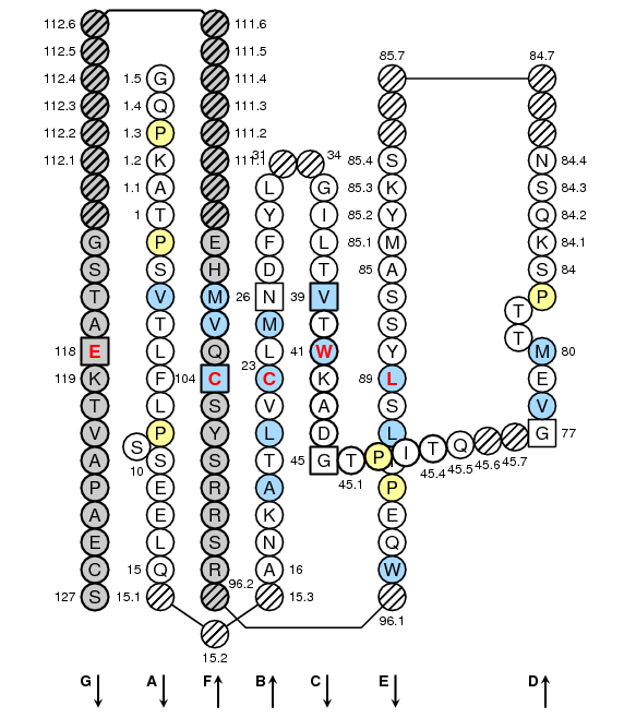 Collier IGLL3 C-LIKE-DOMAIN