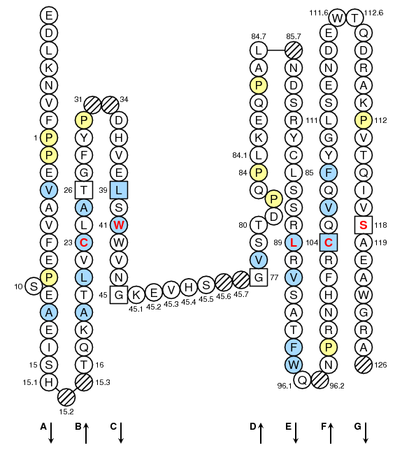 Collier TRBC2 C-LIKE-DOMAIN