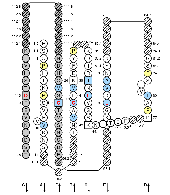 Collier TRDC C-LIKE-DOMAIN