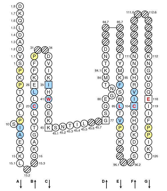 Collier TRGC1 C-LIKE-DOMAIN