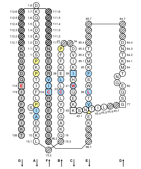 Collier TRGC1 C-LIKE-DOMAIN