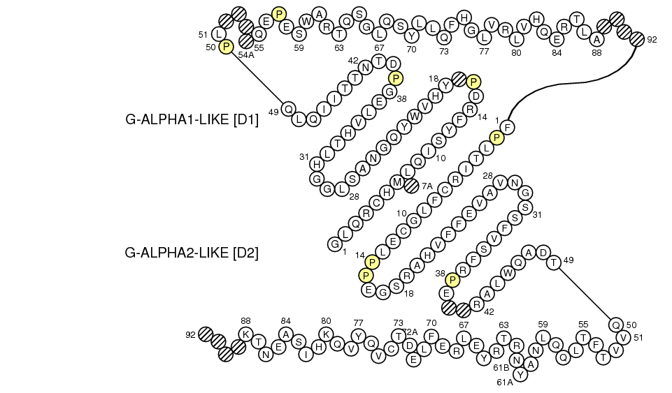 Collier EPCR G-LIKE-DOMAIN