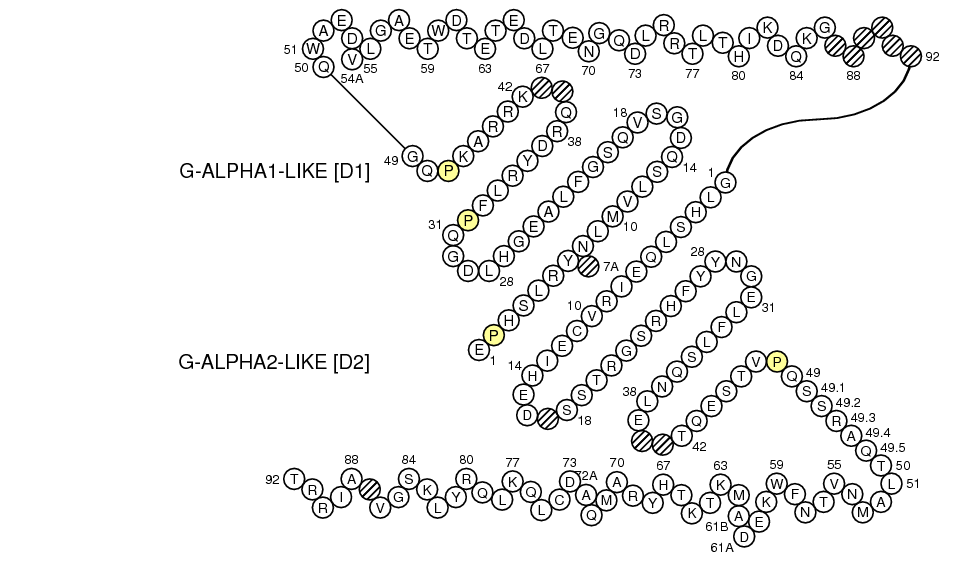 Collier MICB G-LIKE-DOMAIN