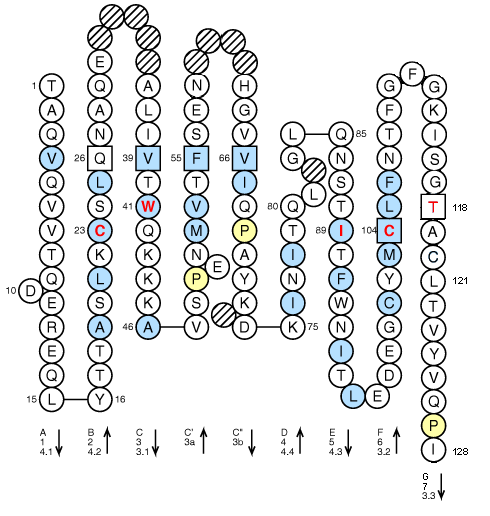 Collier MOX2 V-LIKE-DOMAIN