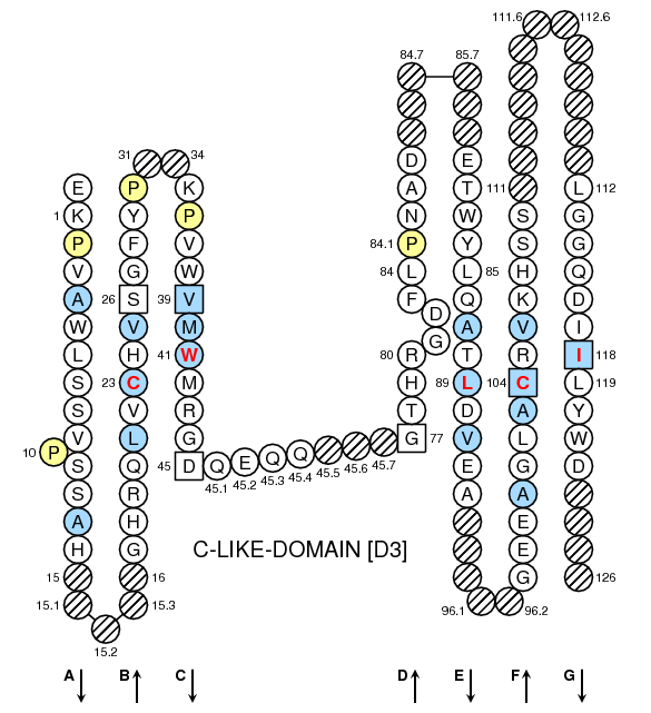 Collier CD1 C-LIKE-DOMAIN