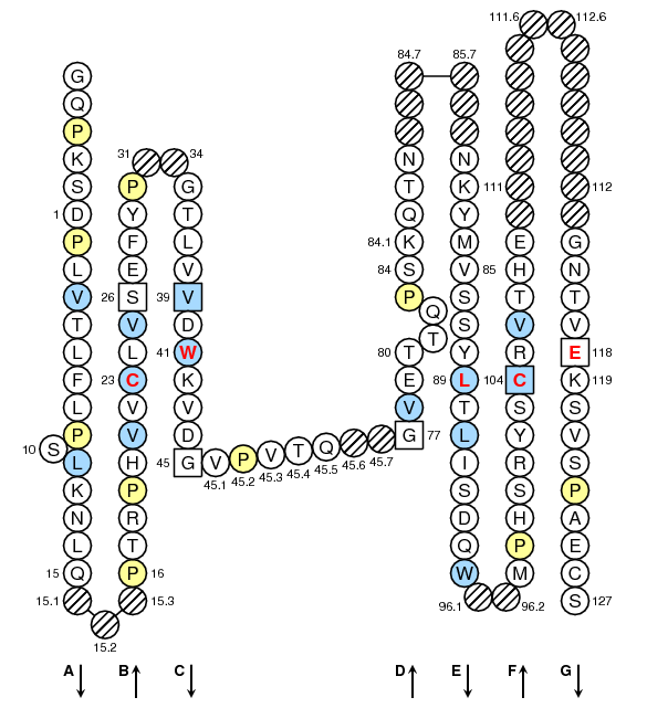 Collier IGLL1 C-LIKE-DOMAIN