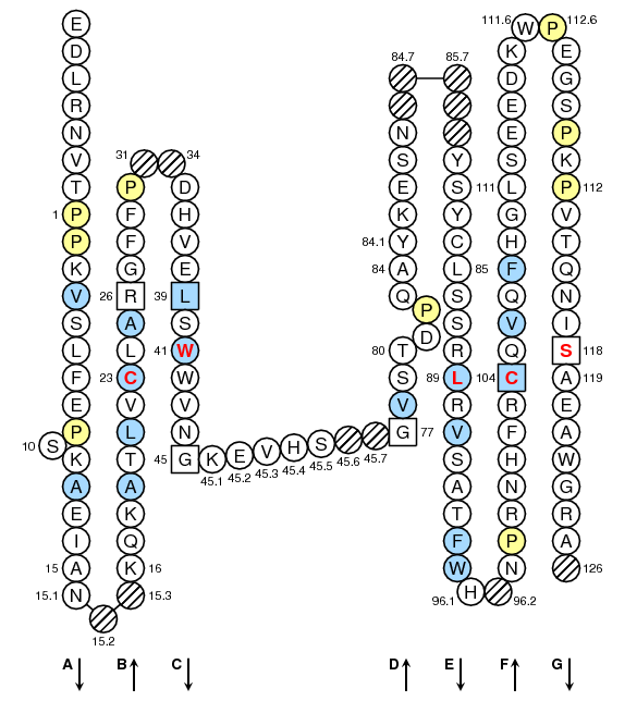 Collier TRBC2 C-LIKE-DOMAIN