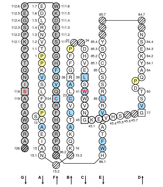 Collier TRBC2 C-LIKE-DOMAIN