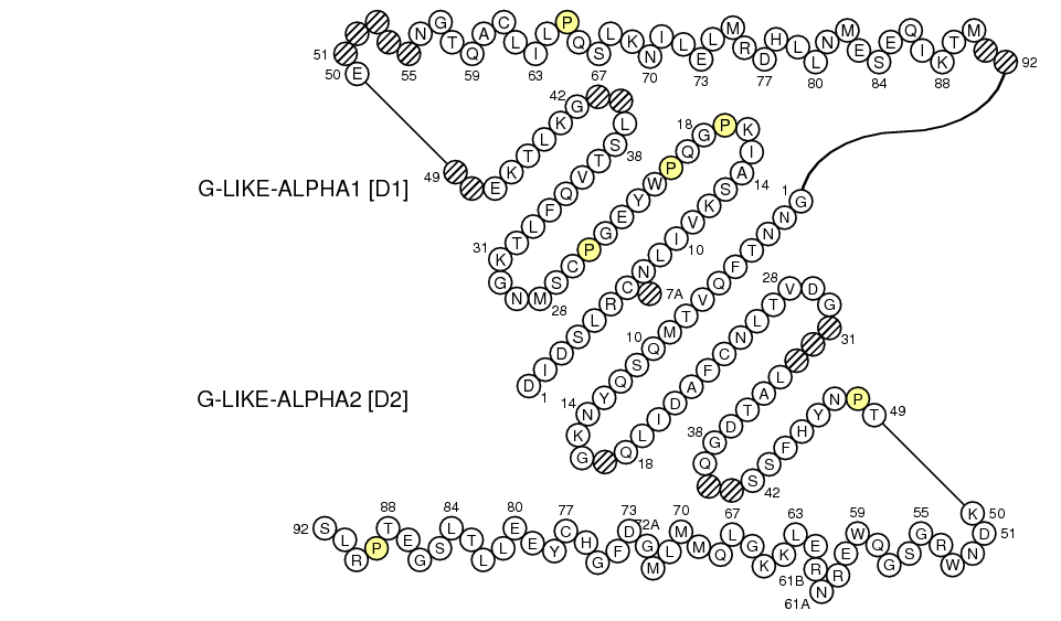 Collier RAE1B G-LIKE-DOMAIN