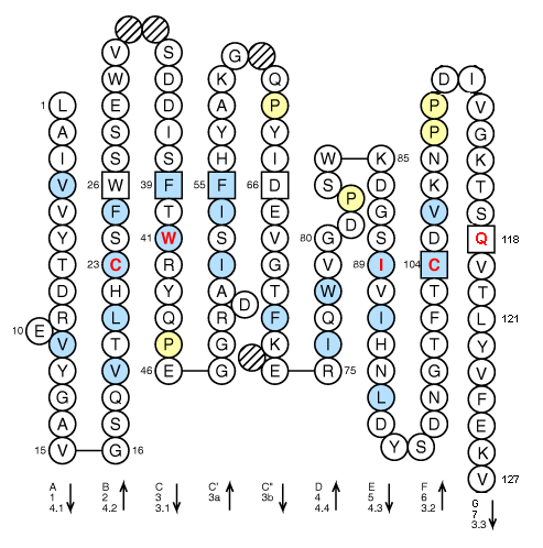 Collier PO V-LIKE-DOMAIN