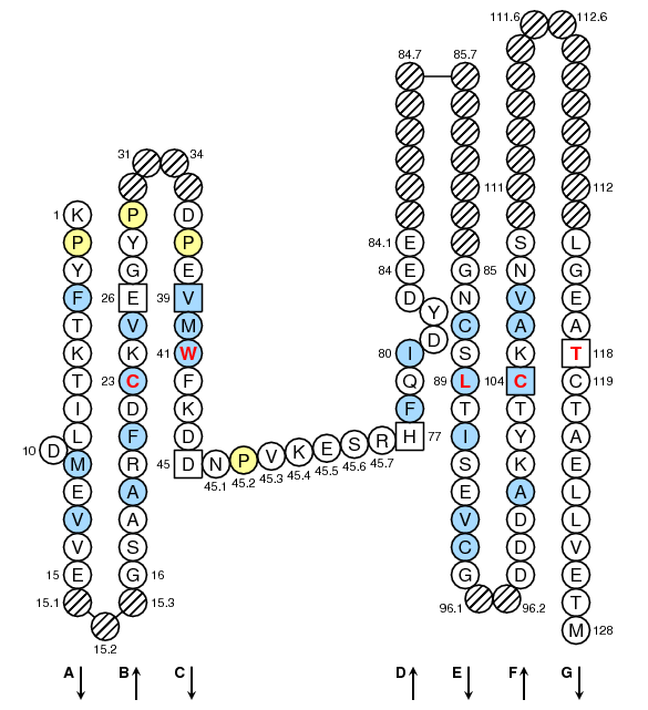 Collier TELOKIN C-LIKE-DOMAIN