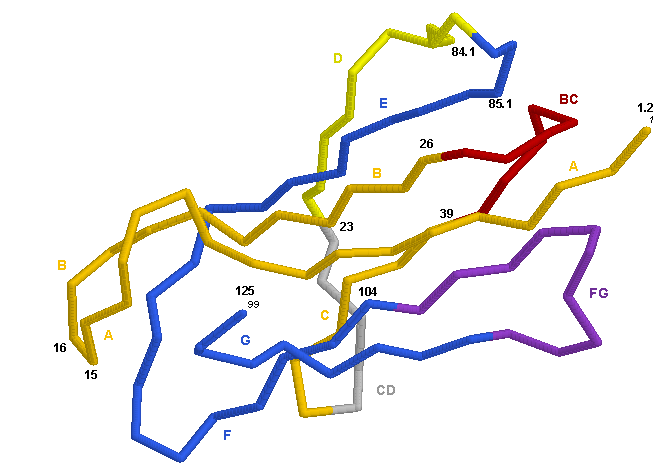 3D Representation B2M C-LIKE-DOMAIN