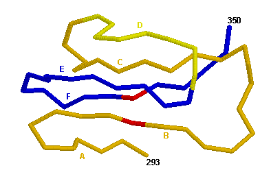  3D representation CD4.4 C-LIKE-DOMAIN