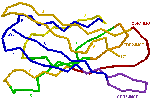  3D representation CD4.3 V-LIKE-DOMAIN